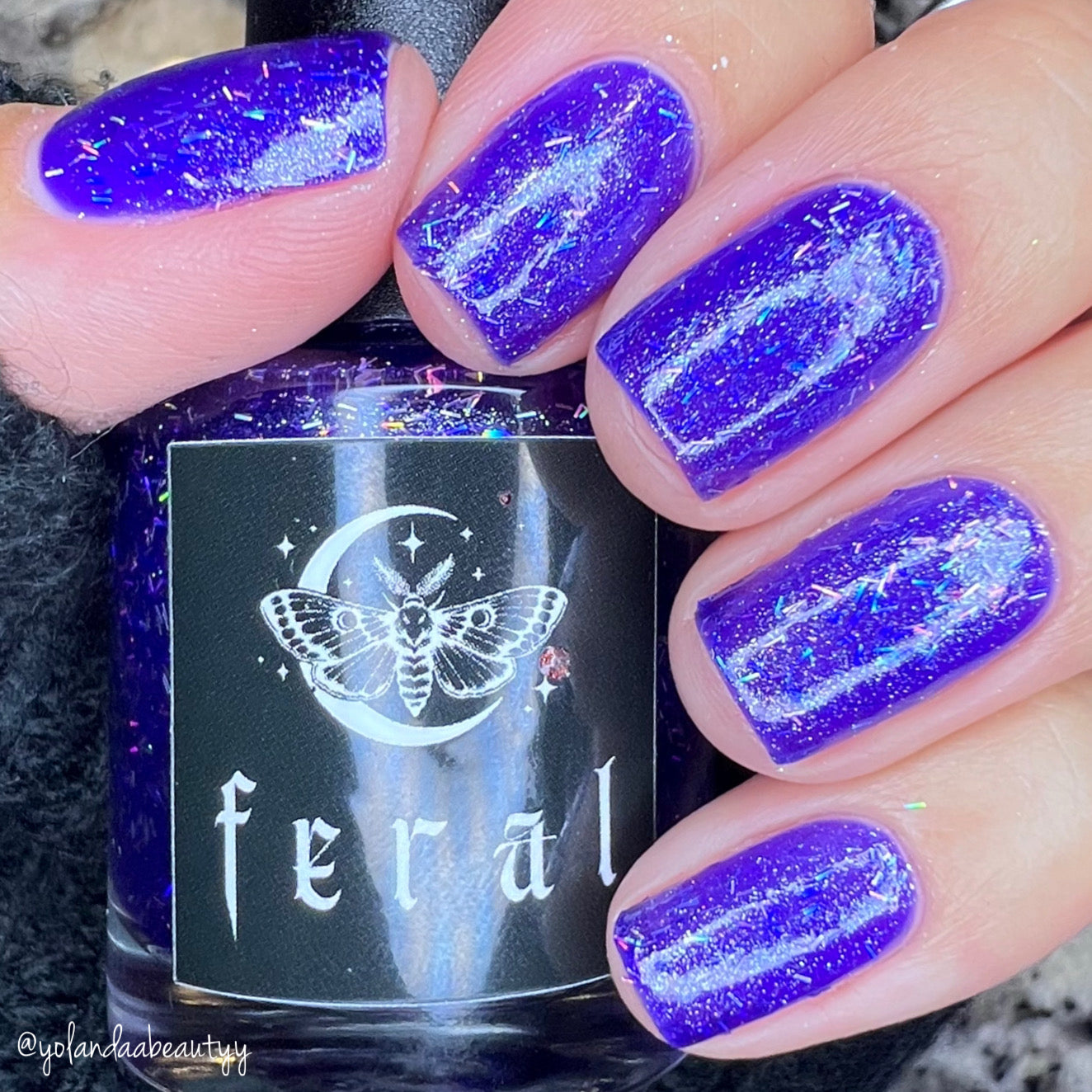 frenzy : forever feral society vault : august 2025