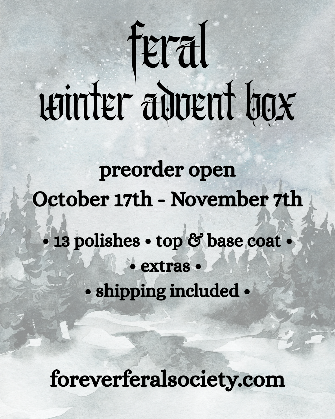 FERAL : 2026 WINTER ADVENT BOX