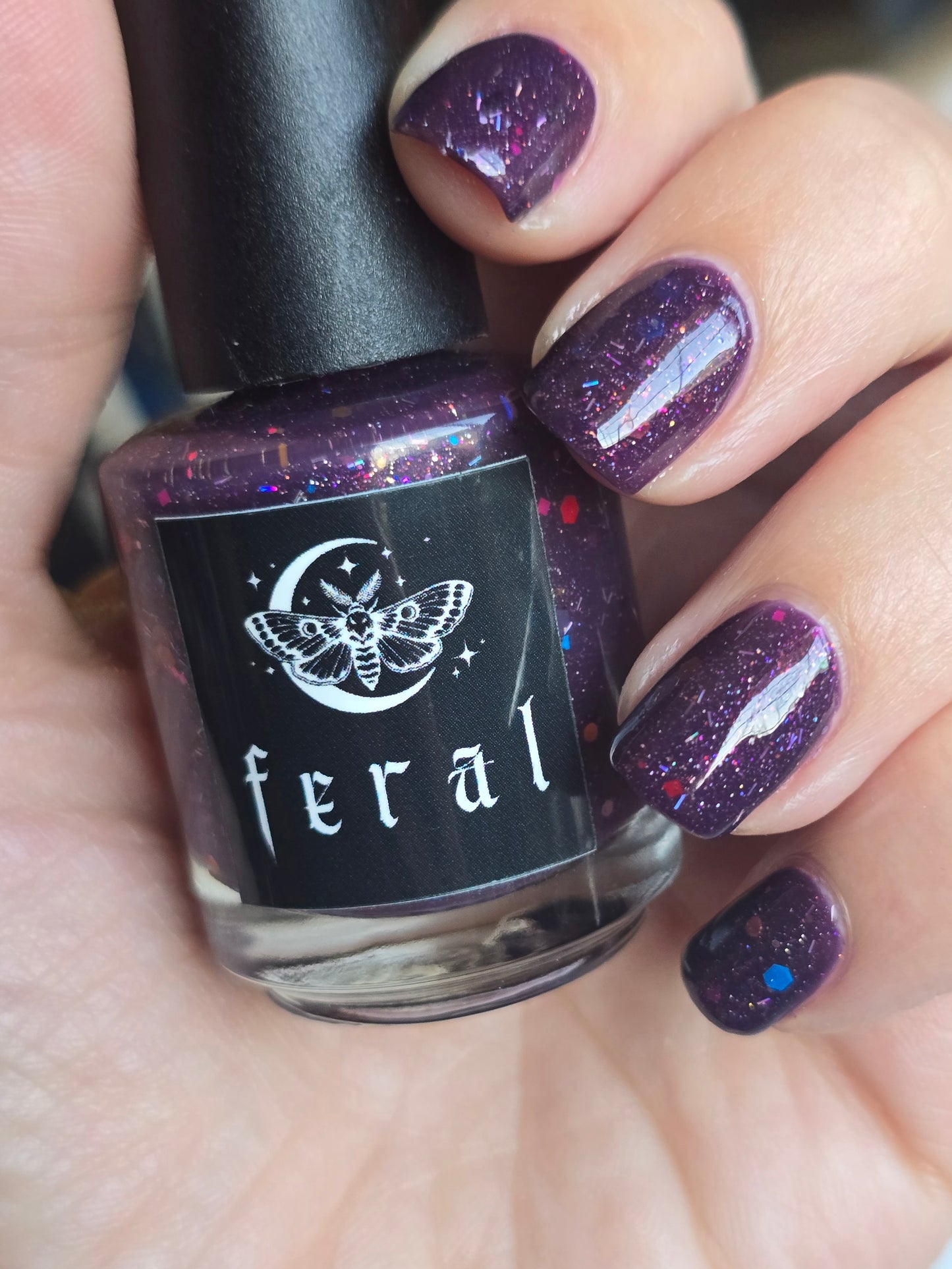 hellebore : the forever feral society vault : june 2025