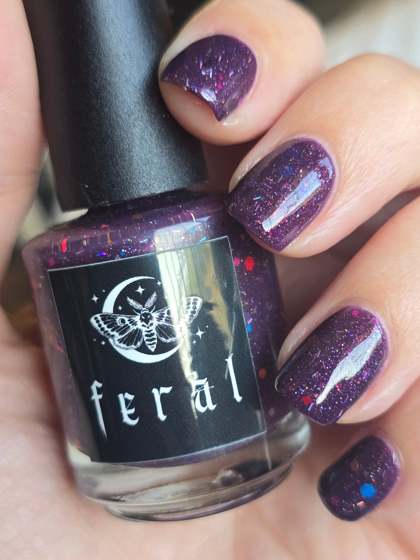 hellebore : the forever feral society vault : june 2025