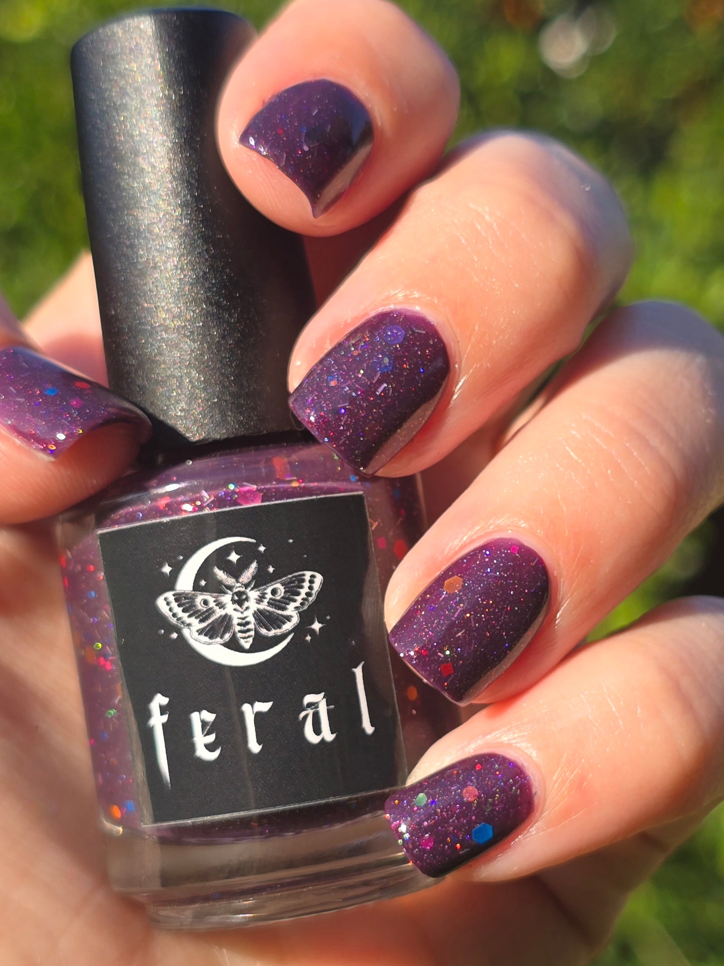hellebore : the forever feral society vault : june 2025