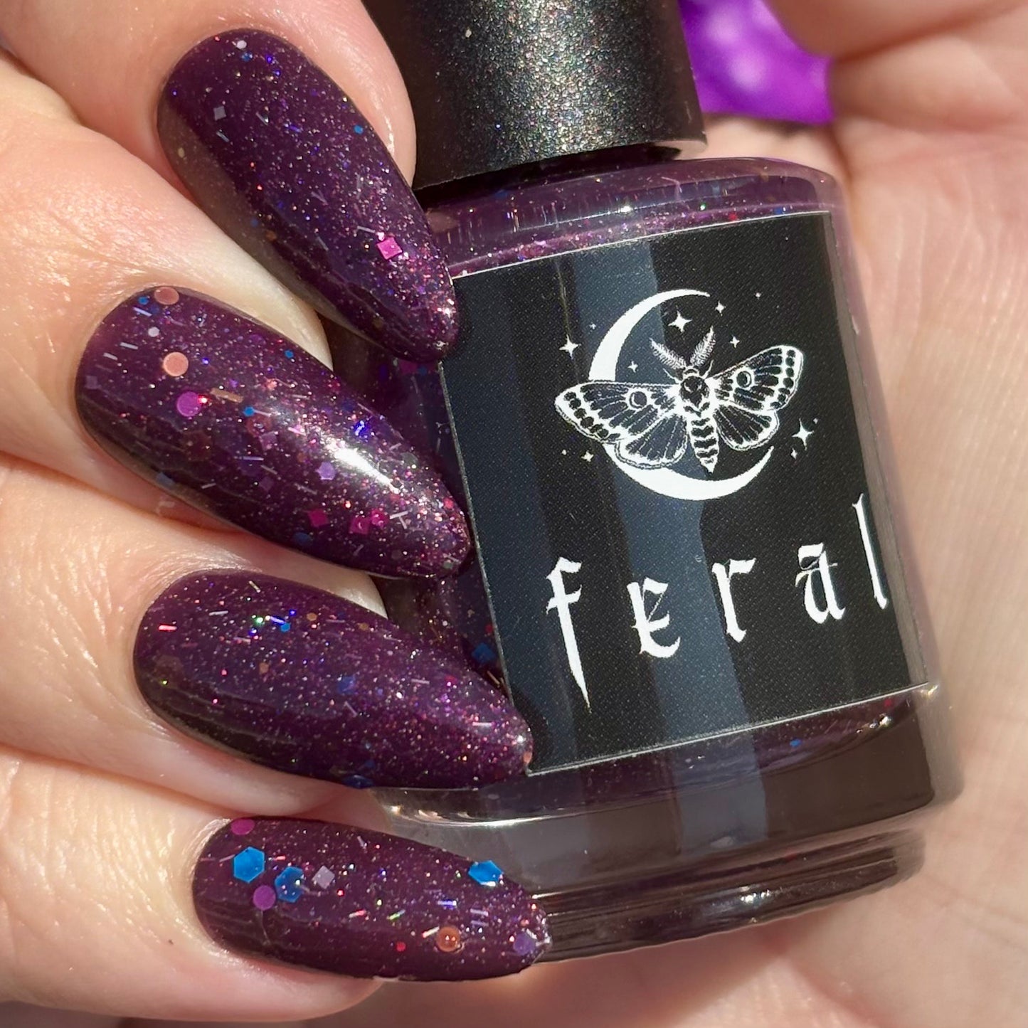 hellebore : the forever feral society vault : june 2025