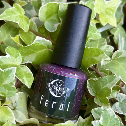 hellebore : the forever feral society vault : june 2025