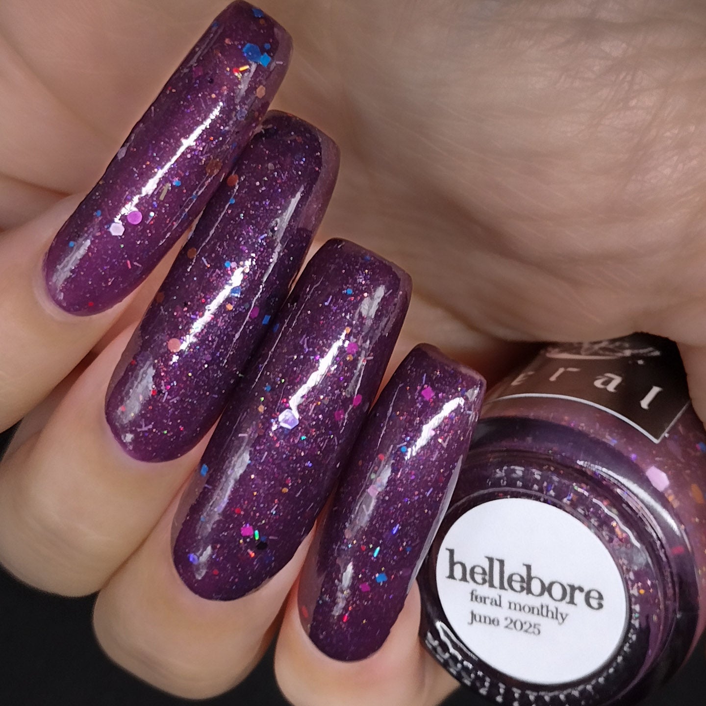 hellebore : the forever feral society vault : june 2025